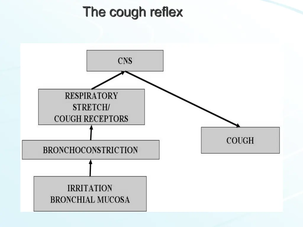 the cough reflex 1