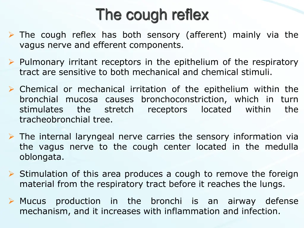 the cough reflex