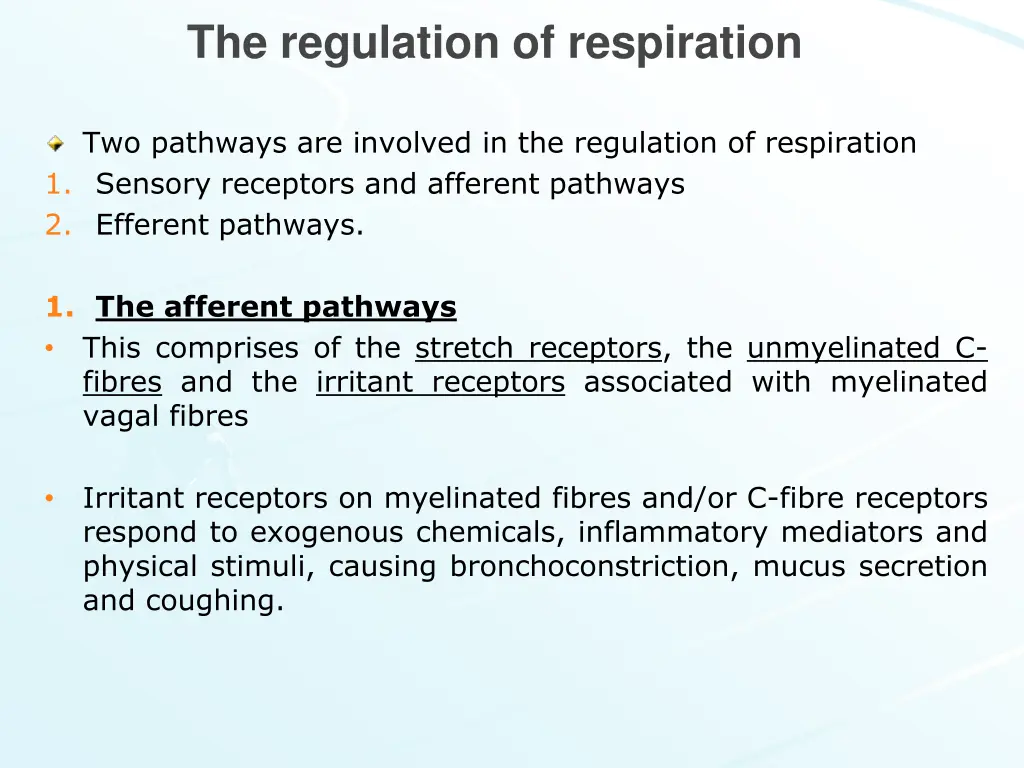 the regulation of respiration