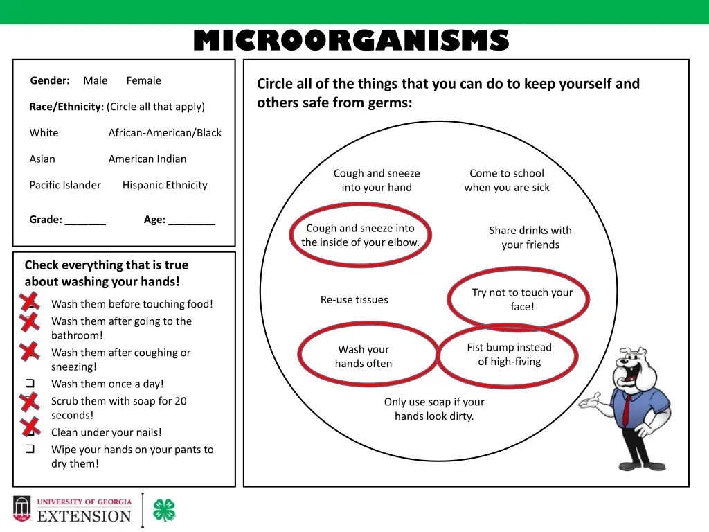 microorganisms 1