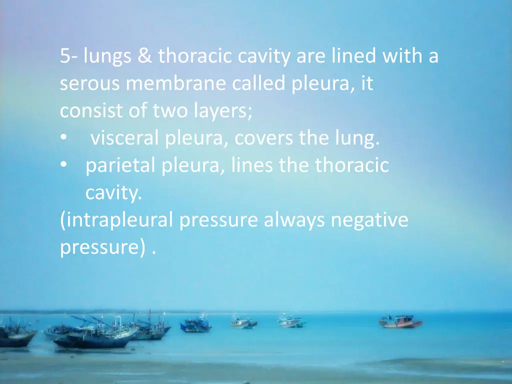 5 lungs thoracic cavity are lined with a serous