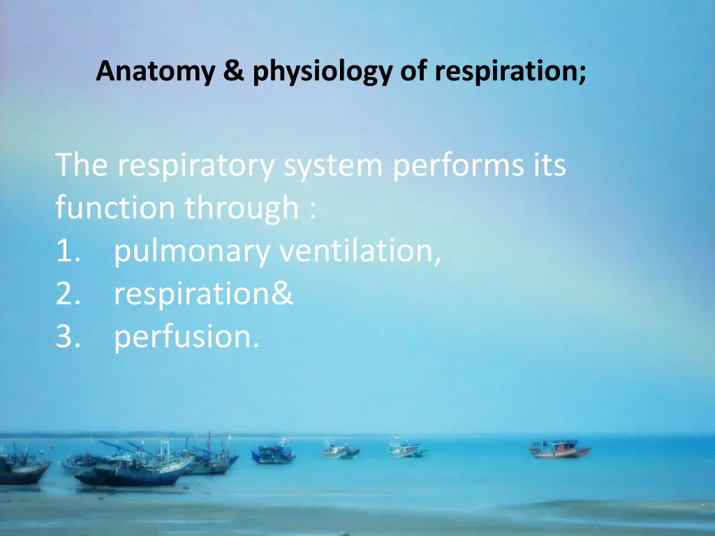 anatomy physiology of respiration