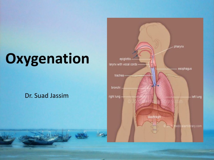 oxygenation