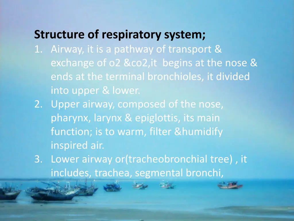 structure of respiratory system 1 airway