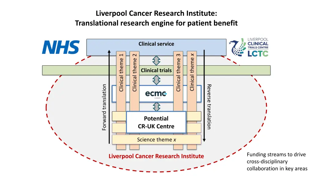 liverpool cancer research institute translational