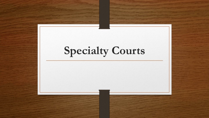 specialty courts