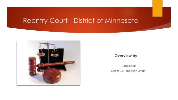 reentry court district of minnesota