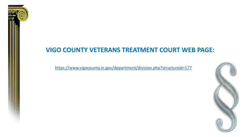 vigo county veterans treatment court web page