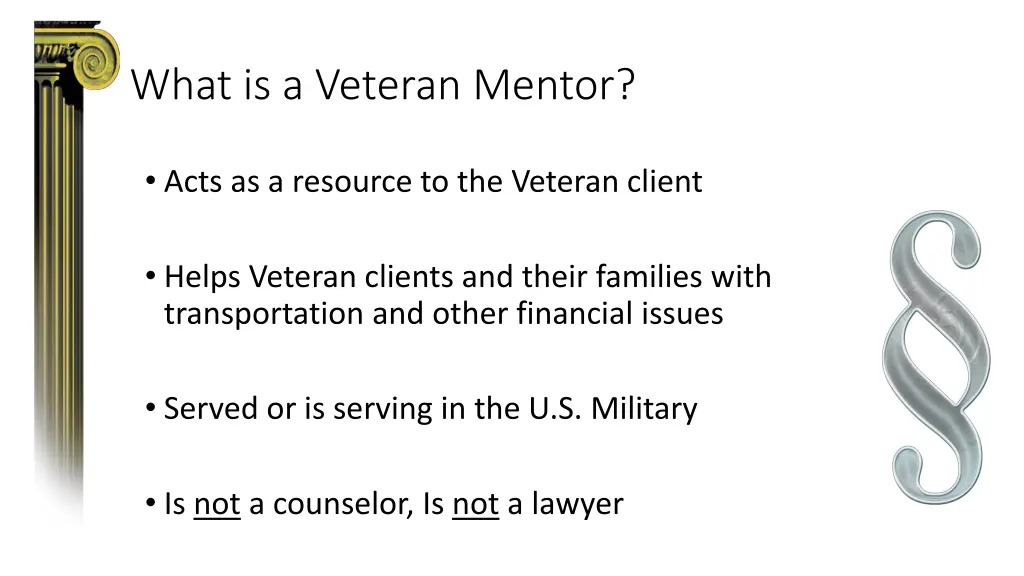 what is a veteran mentor