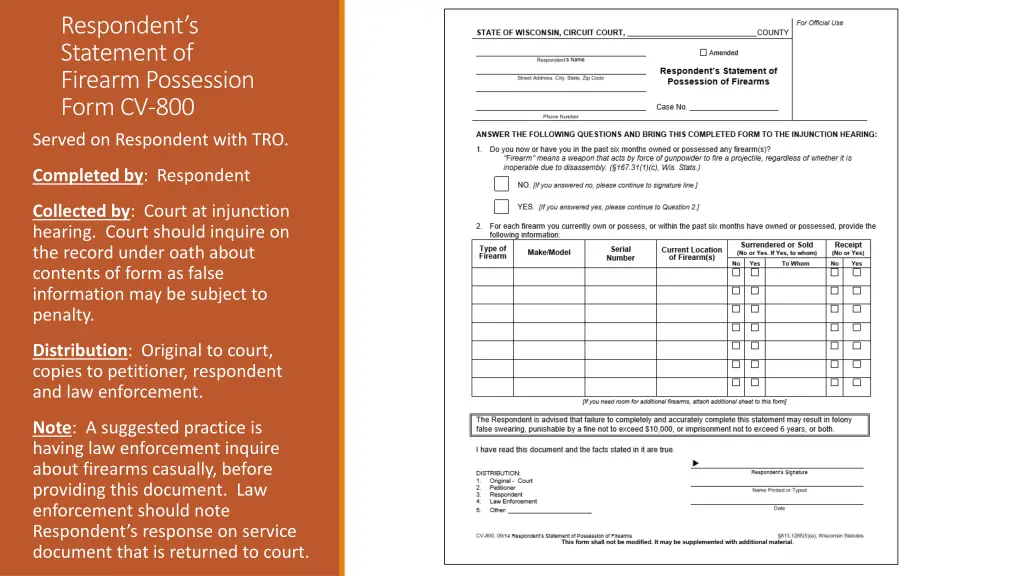 respondent s statement of firearm possession form