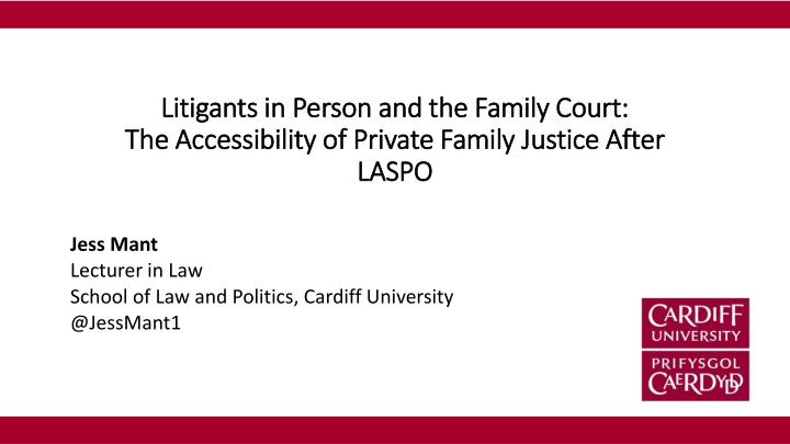 litigants in person and the family court