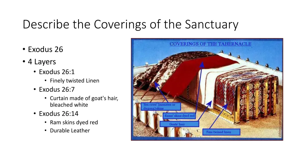 describe the coverings of the sanctuary