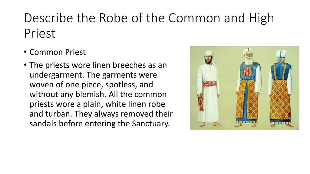 describe the robe of the common and high priest