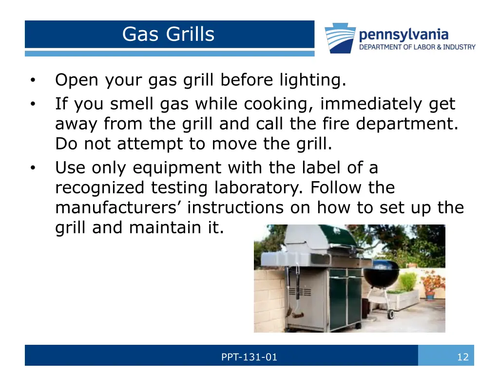 gas grills 1