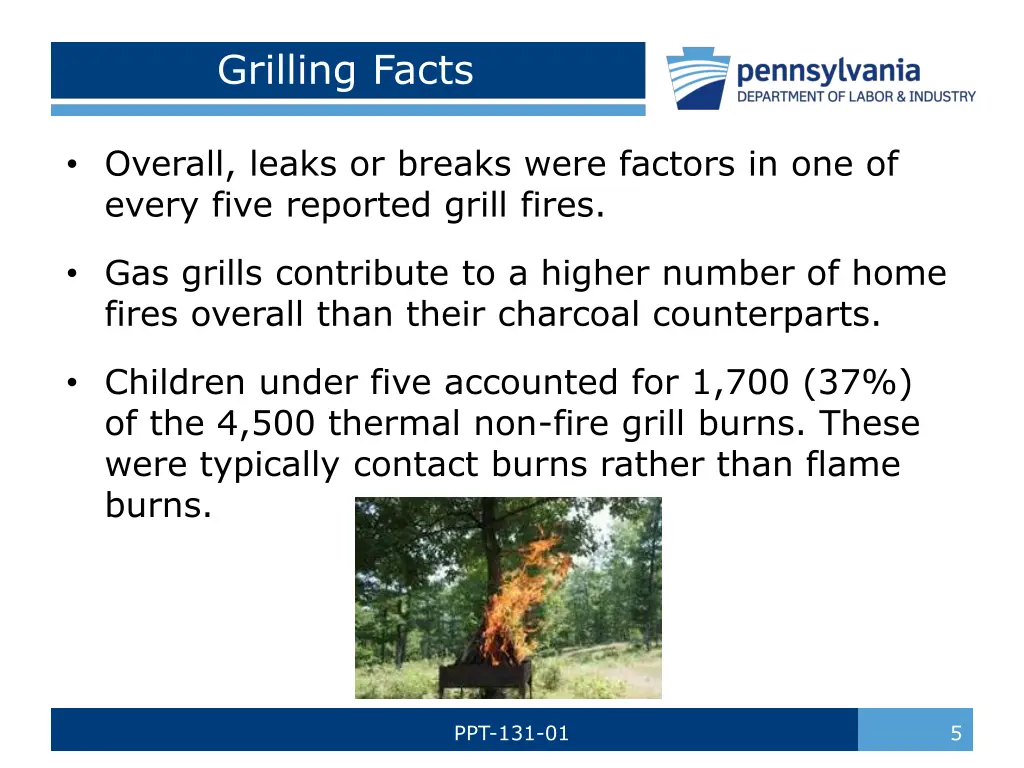 grilling facts 1