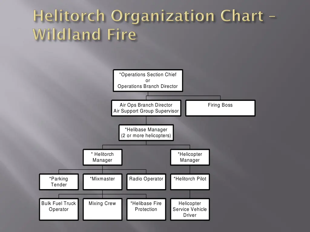 operations section chief or operations branch