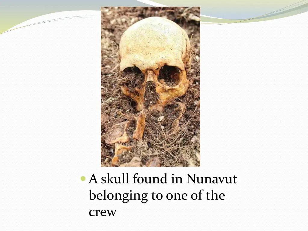 a skull found in nunavut belonging