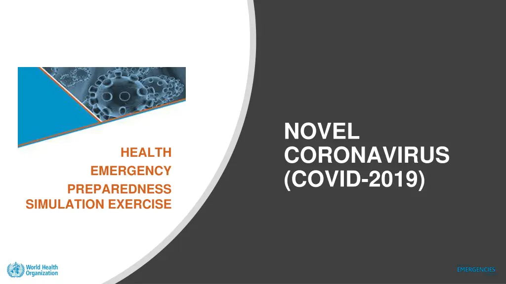 novel coronavirus covid 2019 1