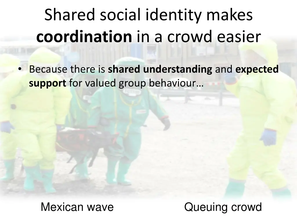 shared social identity makes coordination