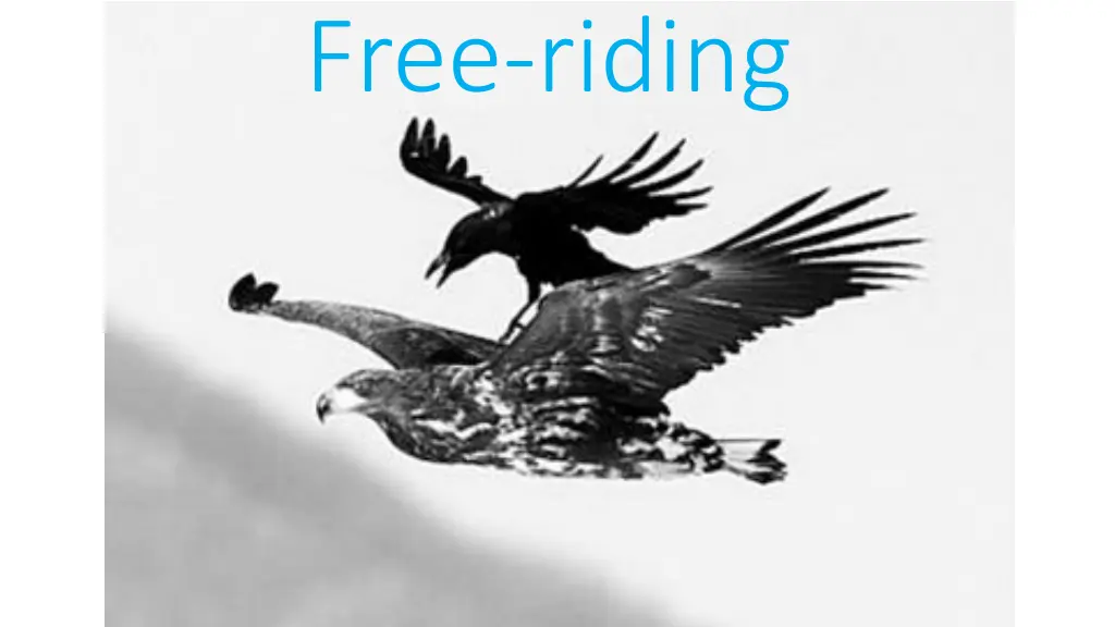 free riding