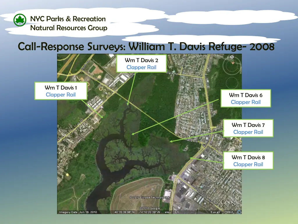 nyc parks recreation natural resources group 11