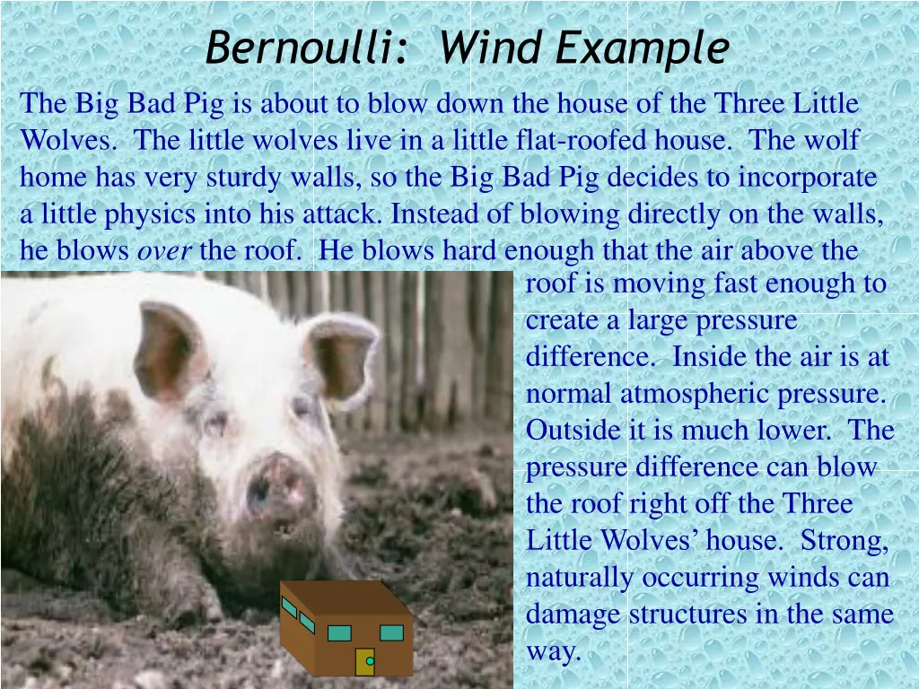 bernoulli wind example the big bad pig is about