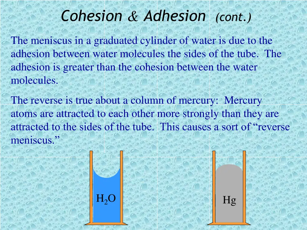 cohesion adhesion cont