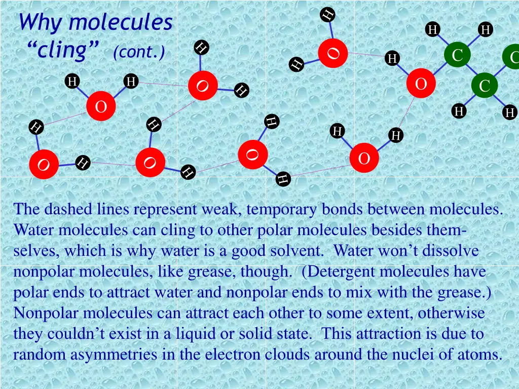 why molecules cling cont