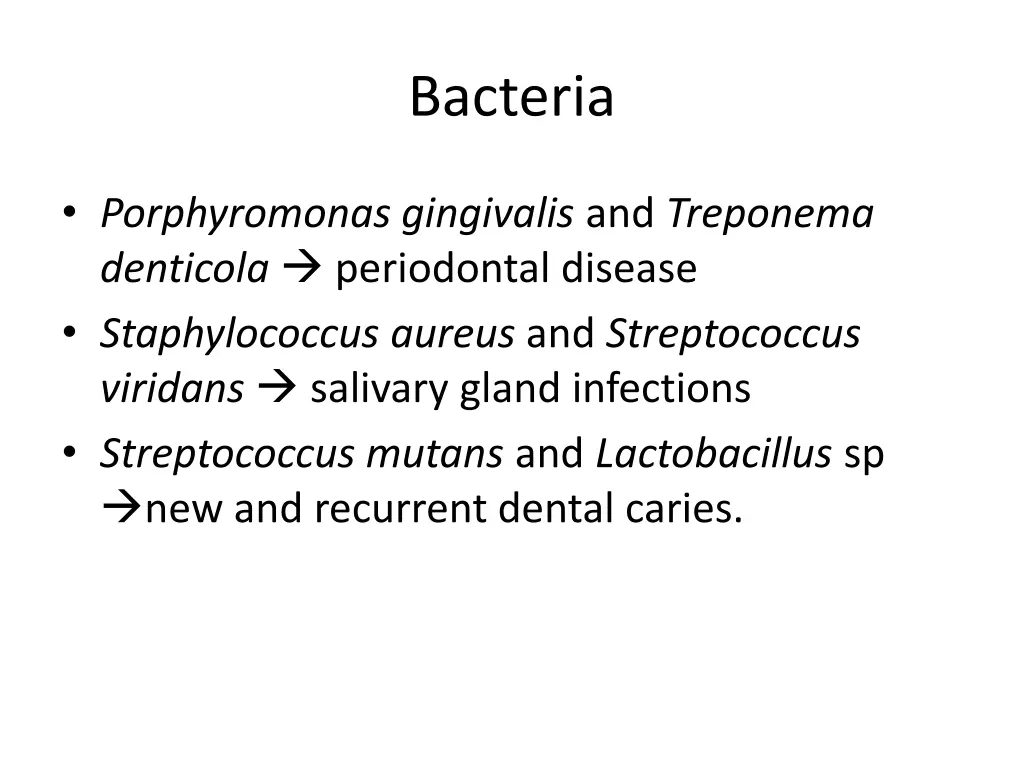 bacteria