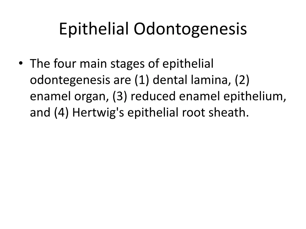 epithelial odontogenesis