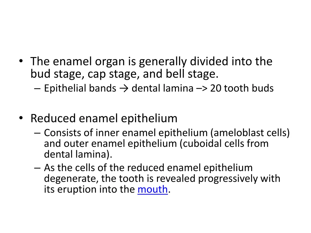 the enamel organ is generally divided into