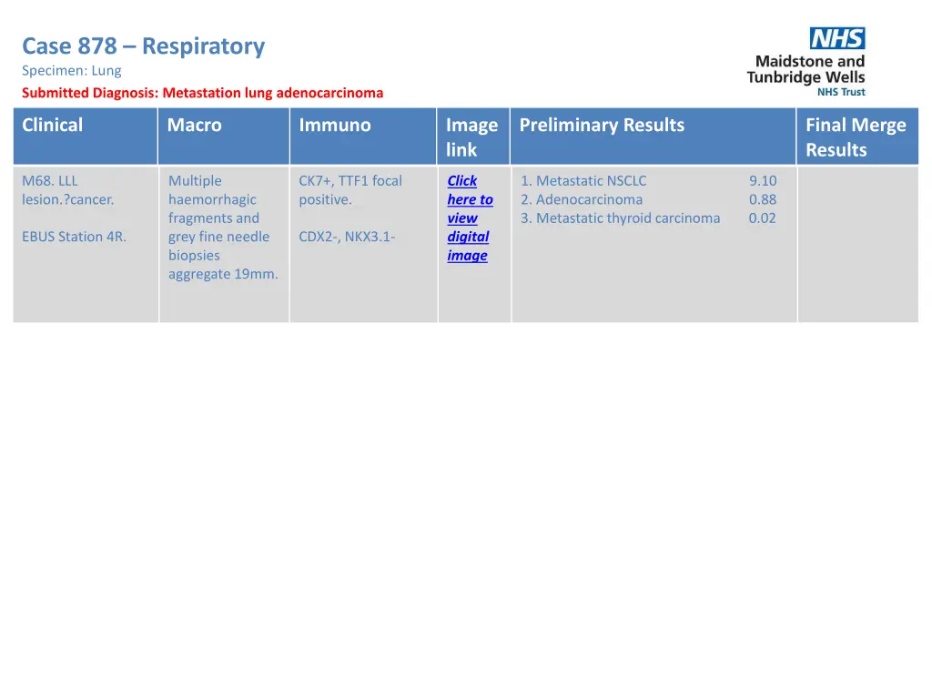 case 878 respiratory specimen lung submitted