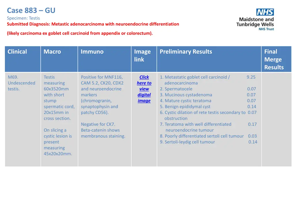 case 883 gu specimen testis submitted diagnosis