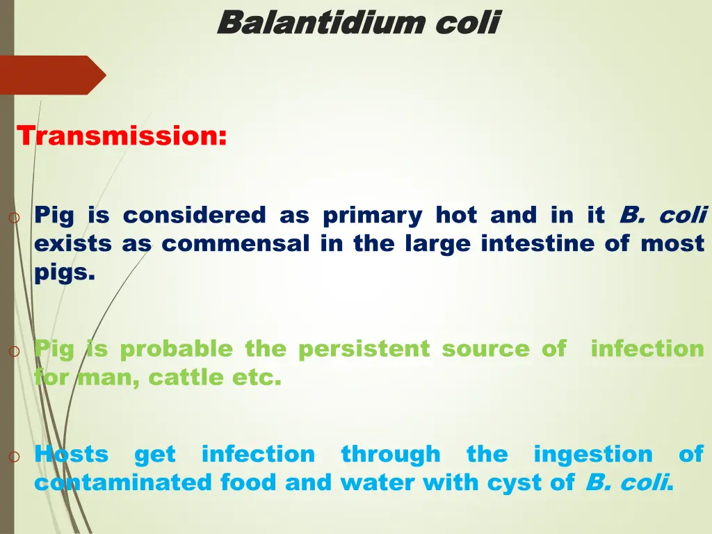 balantidium balantidium coli 2