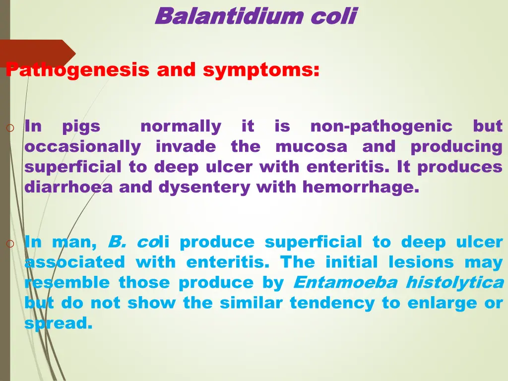 balantidium balantidium coli 3