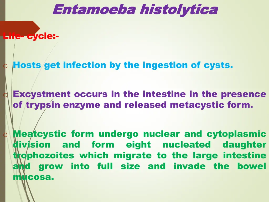 entamoeba entamoeba histolytica 3