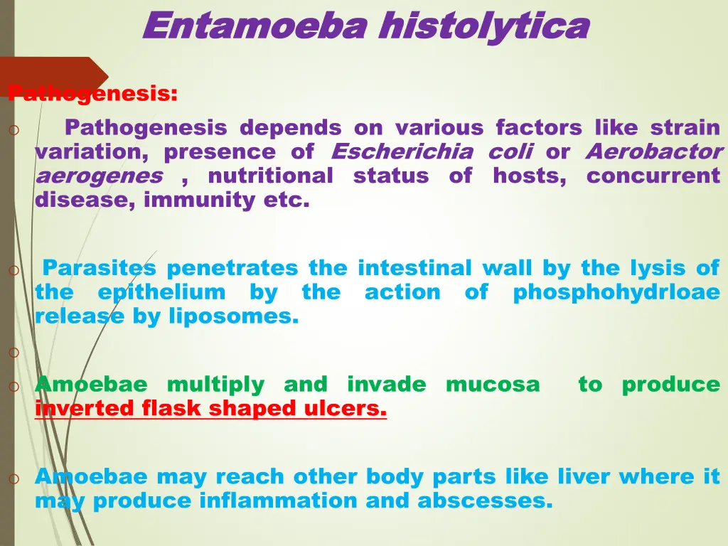 entamoeba entamoeba histolytica 4