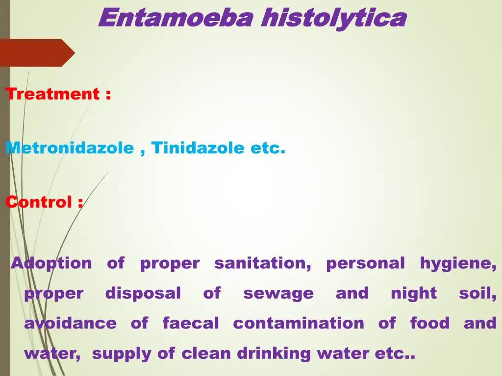 entamoeba entamoeba histolytica 7