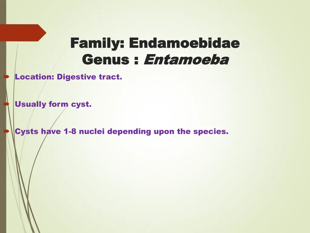 family family endamoebidae endamoebidae genus