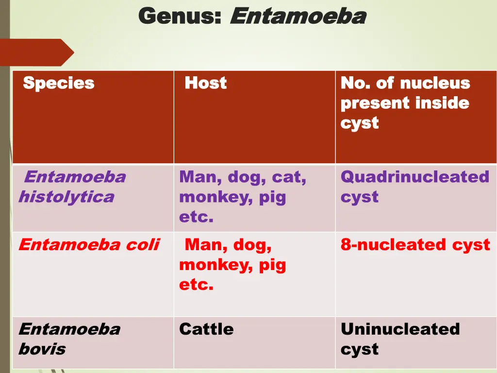 genus genus entamoeba entamoeba