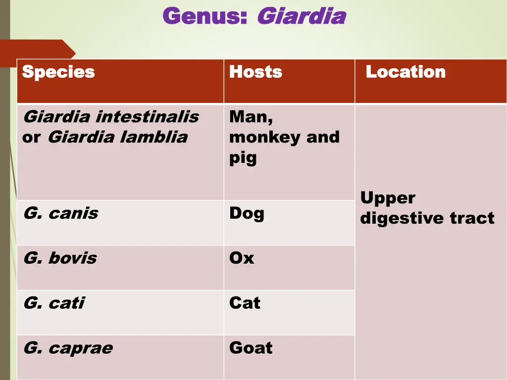 genus genus giardia giardia 1