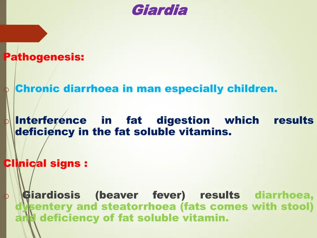 giardia giardia