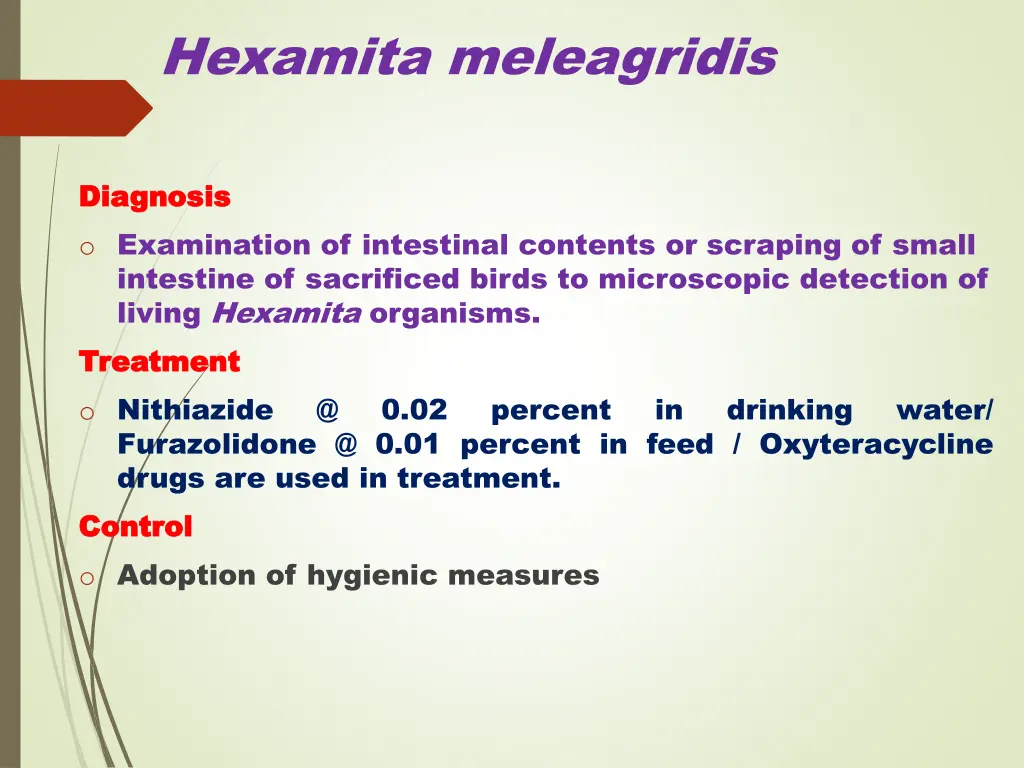 hexamita meleagridis 1