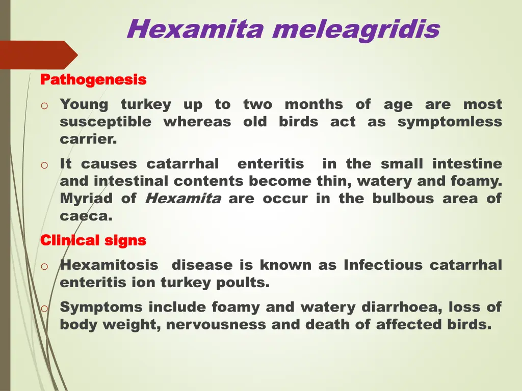 hexamita meleagridis 2