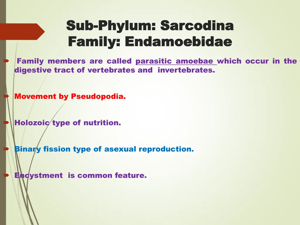 sub sub phylum phylum sarcodina family family