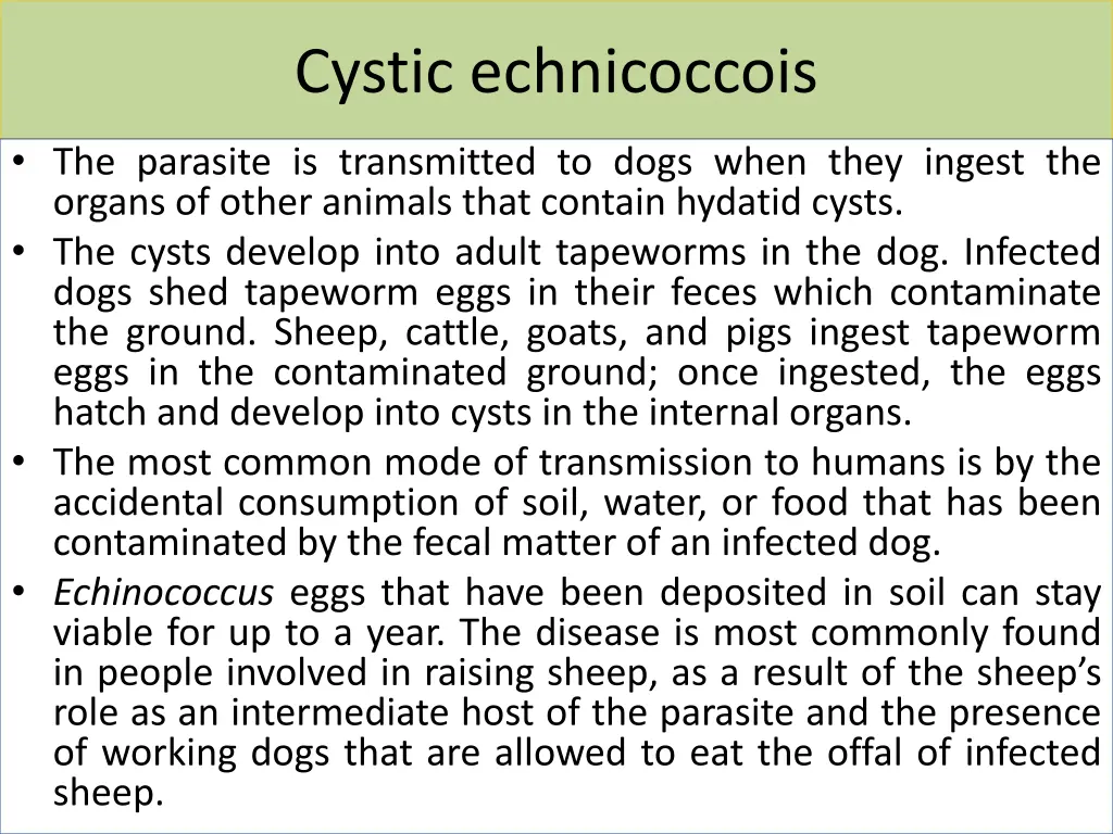 cystic echnicoccois