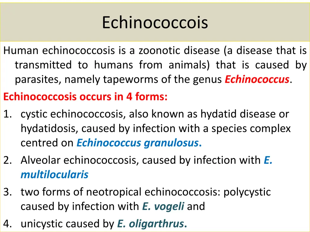 echinococcois 1