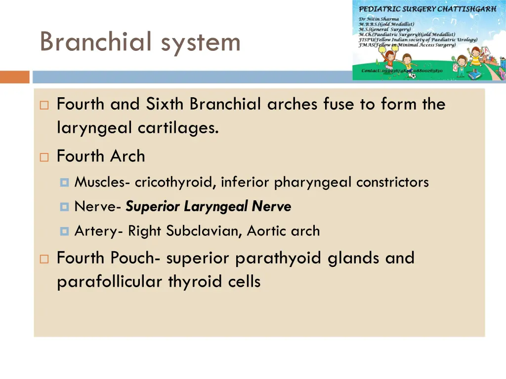 branchial system 5