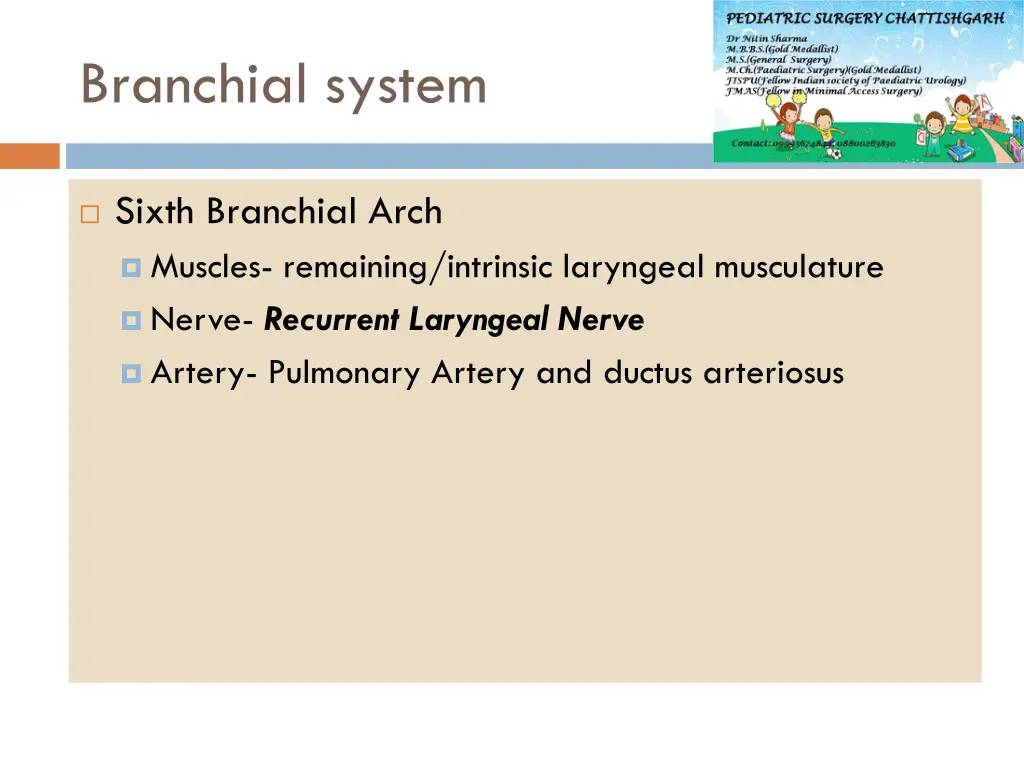 branchial system 6