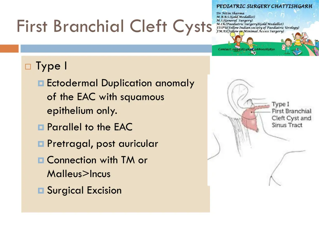 first branchial cleft cysts